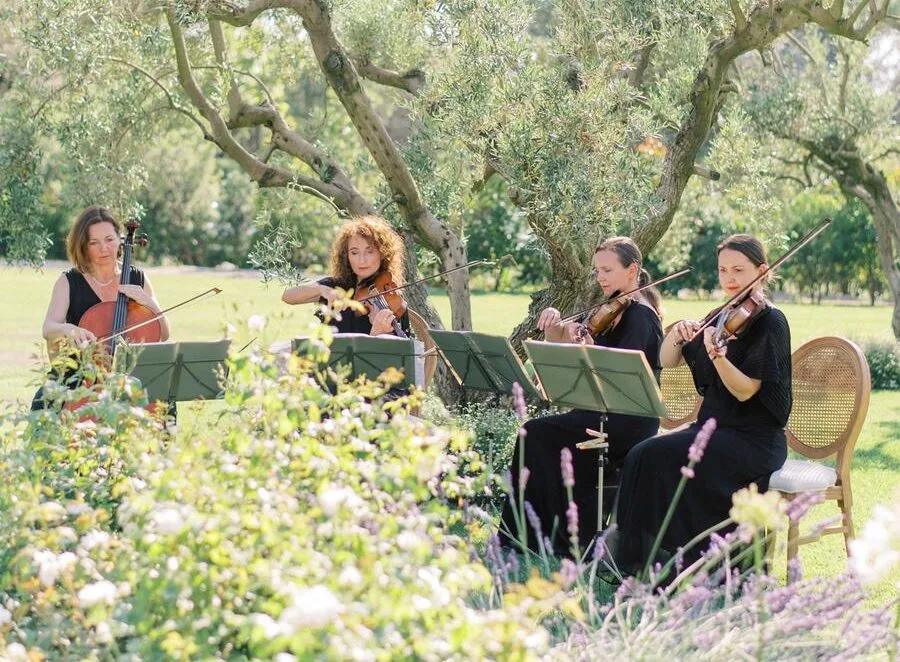 Violinist — Delighted Agency, photo 8