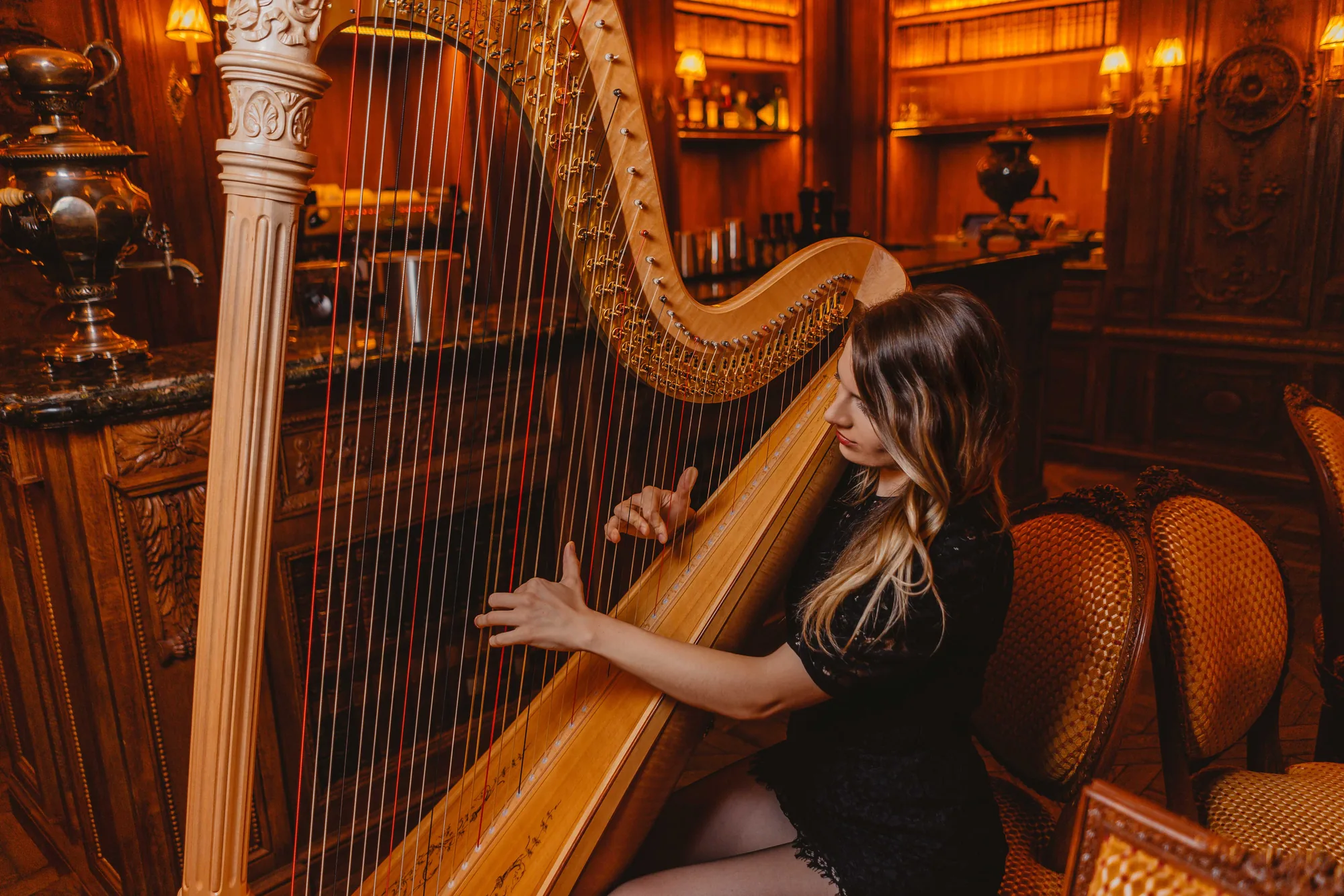 Classical Harpist — Delighted Agency, photo 3