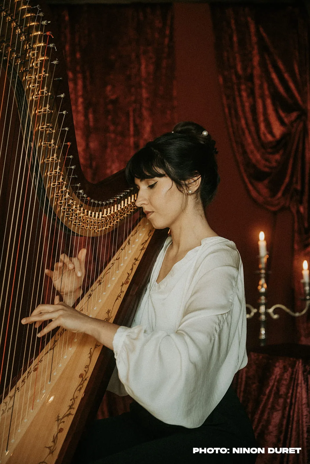 Classical Harpist — Delighted Agency, photo 2