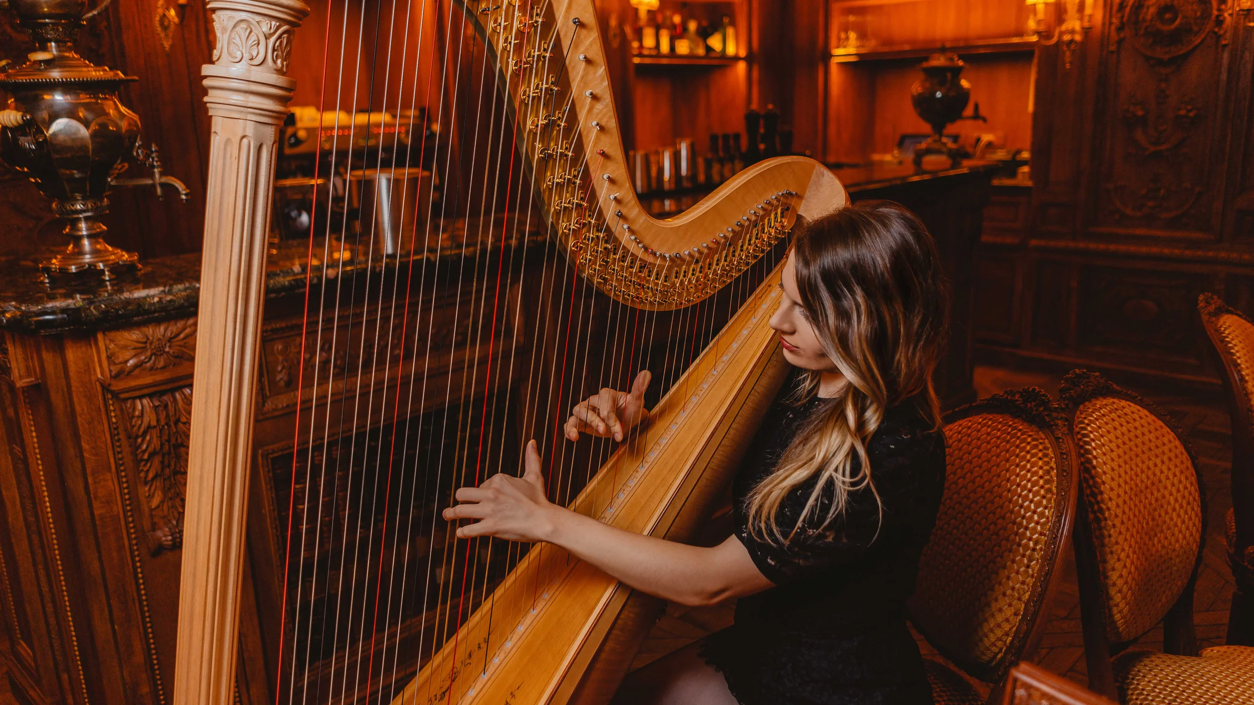 Classical Harpist by Delighted Agency