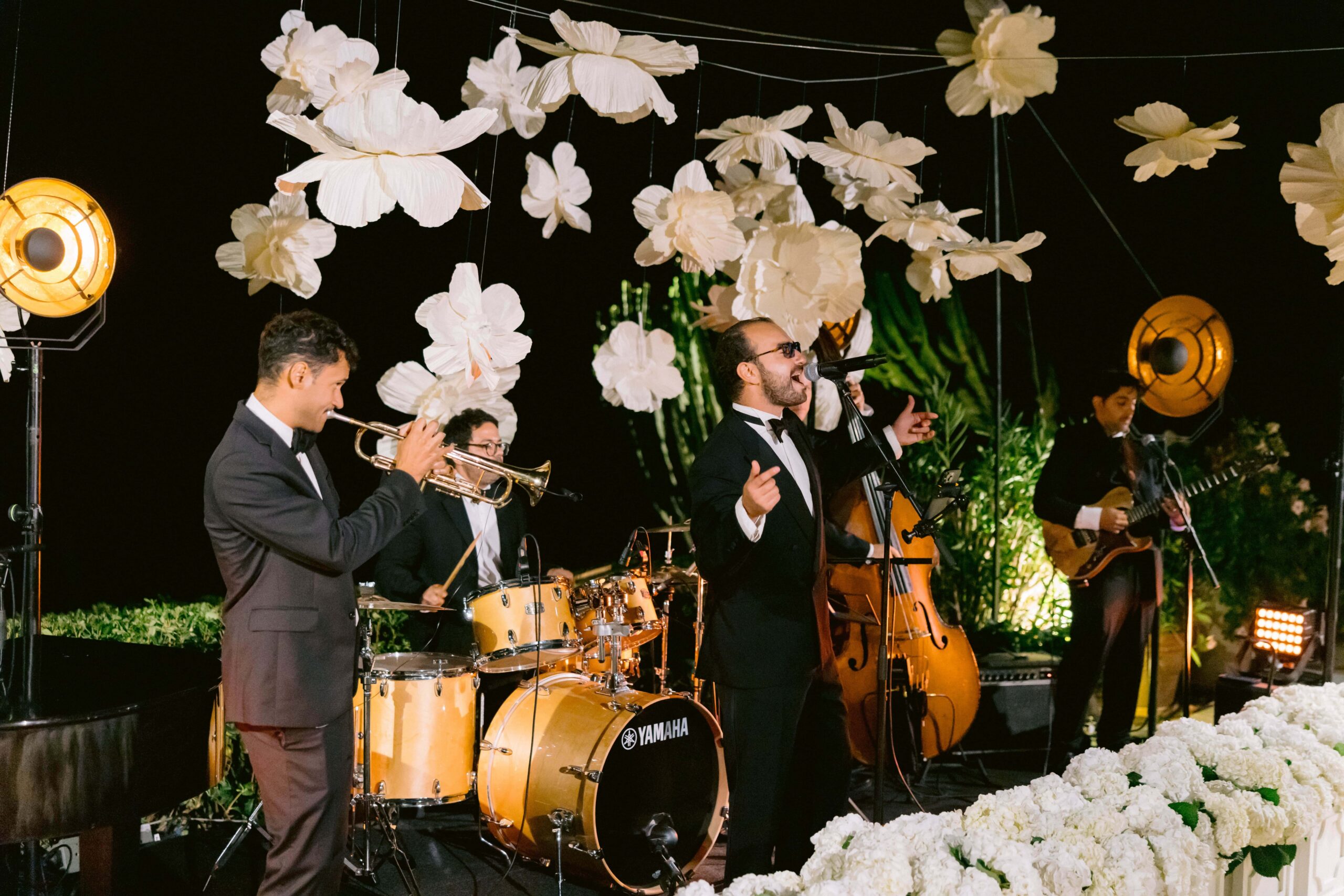 Our live bands — Delighted Agency